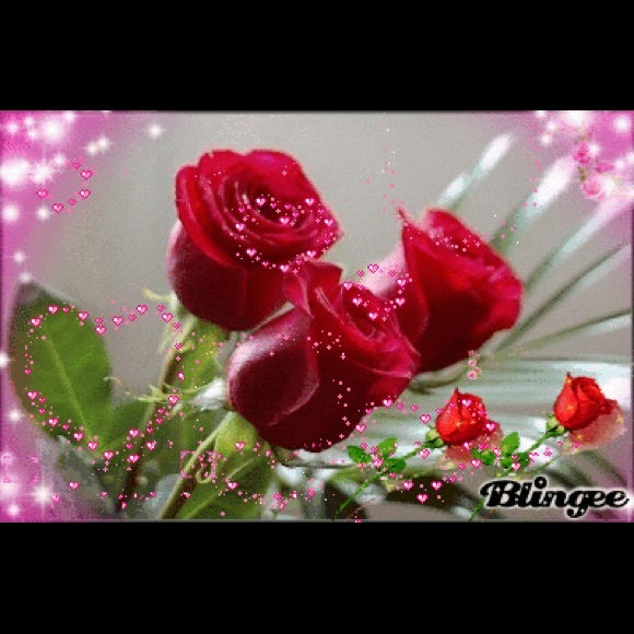 Meet your Posher, Adriana - Picture 1 of 1